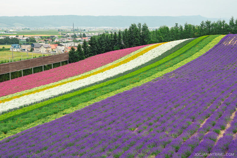 Colorful rows of blooming flowers, including purple, white, yellow, and pink, blanket the hillside at Farm Tomita, with a small town, trees, and distant mountains in the background under a cloudy sky.