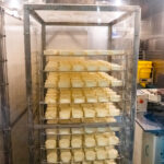 A metal rack holds multiple trays stacked with blocks of cheese at the Furano Cheese Factory, inside a clean, stainless steel processing room with equipment and plastic bins visible in the background.