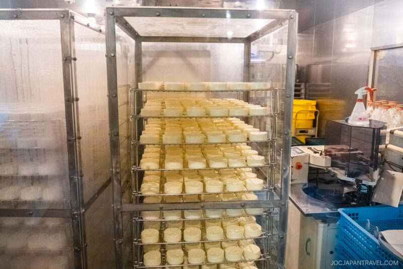 A metal rack holds multiple trays stacked with blocks of cheese at the Furano Cheese Factory, inside a clean, stainless steel processing room with equipment and plastic bins visible in the background.