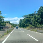 Getting Around Yakushima (屋久島) – Car Rental and Travel Tips A blue truck driving on a road in Yakushima with trees in the background.