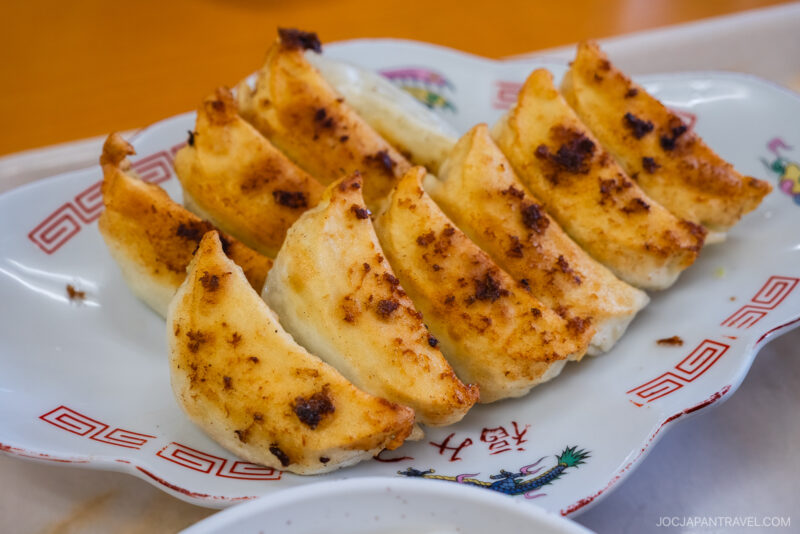A close-up of eight golden-brown Hamamatsu Gyoza dumplings arranged in a row on a decorative white plate with red patterns.