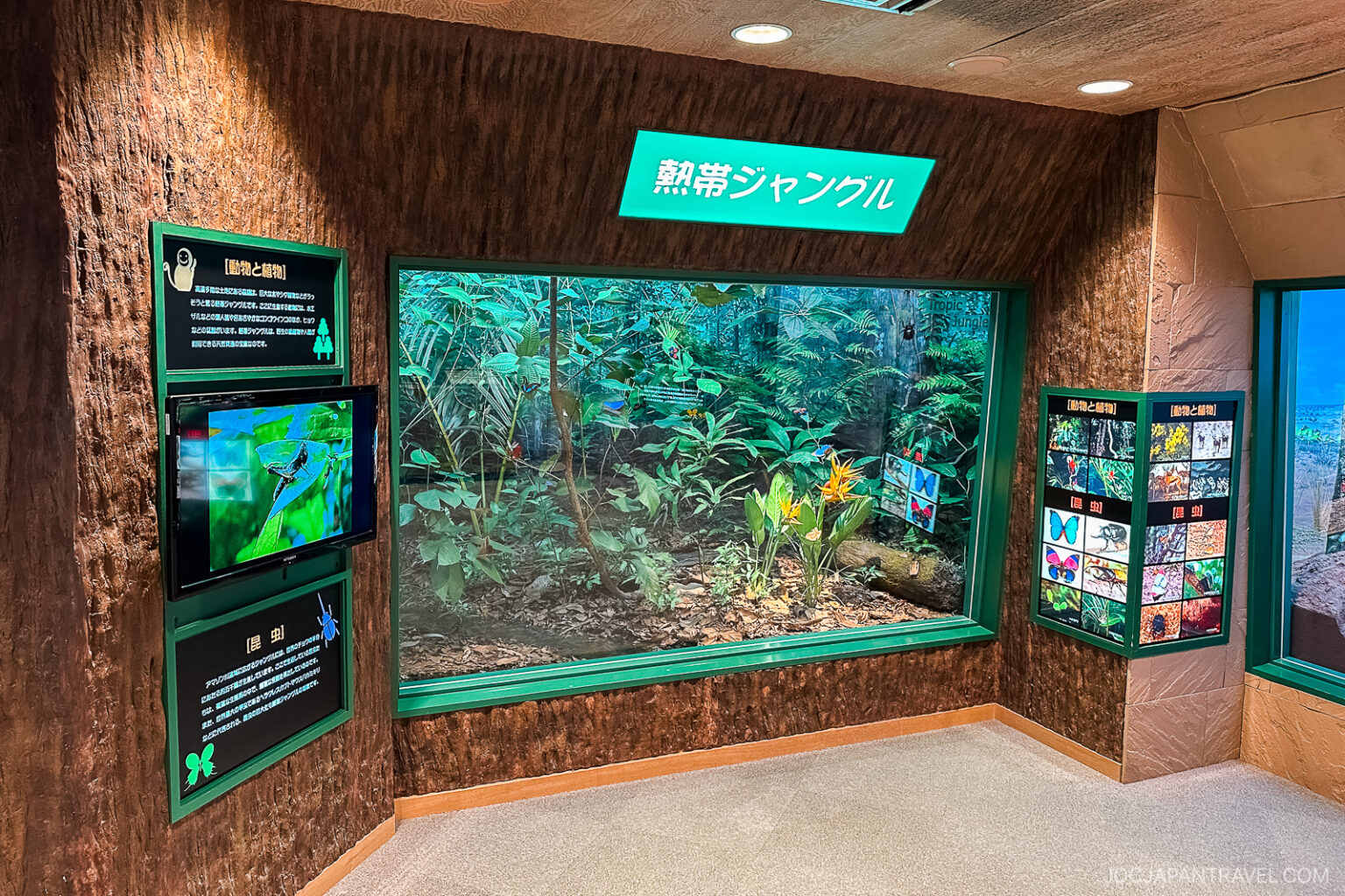 Japan Rural Insects Ishikawa Insect Museum – Butterflies, Beetles, and Family Fun • JOC ...