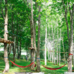 A wooded outdoor adventure park, Tree Adventure Furano, features platforms and rope bridges high in the trees, with two red hammocks tied between tree trunks on the grassy ground below. Sunlight filters through the lush green foliage.