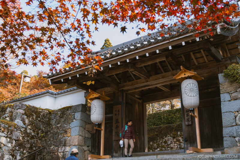 A person walks through a traditional Japanese wooden gate adorned with large lanterns, surrounded by stone walls and vibrant Kyoto autumn foliage overhead.