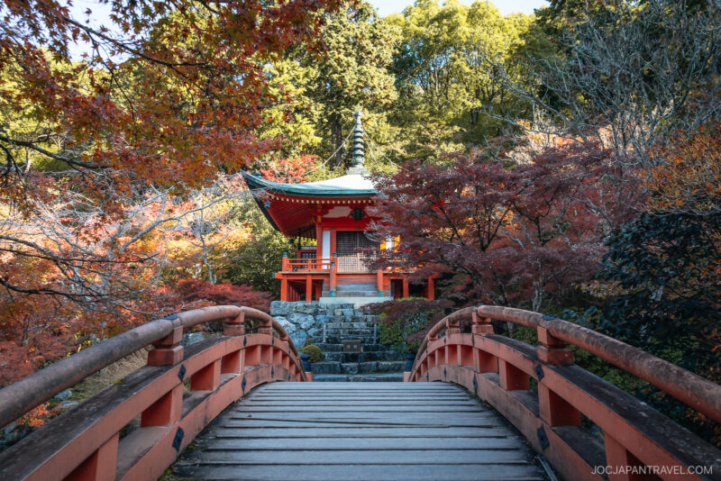 A wooden arched bridge leads to a traditional red Japanese temple surrounded by vibrant Kyoto autumn foliage, with green forest in the background and sunlight filtering through the leaves.