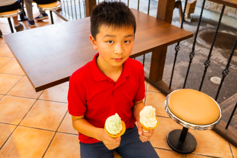 A boy in a red shirt sits indoors at the Daio Wasabi Farm, holding two soft-serve ice cream cones and looking up at the camera. Empty chairs and a wooden table are nearby.
