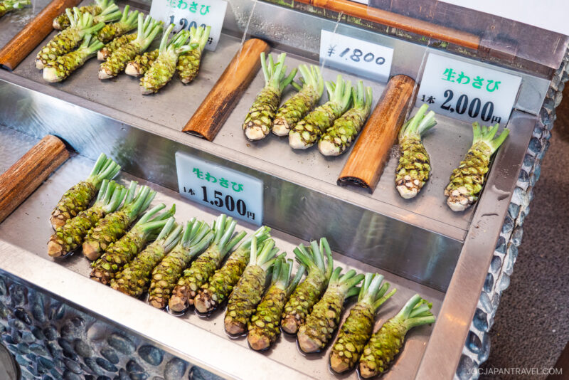 Fresh wasabi rhizomes from Daio Wasabi Farm displayed in metal trays with price tags at a market in Japan. Each tray contains several green wasabi roots, some with leafy tops, and handwritten price signs in Japanese yen.