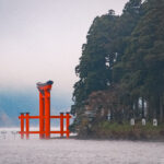 Hakone Shrine (箱根神社) – Spiritual Forest Path and Iconic Water Gate A bright red torii gate of Hakone Shrine stands in the water near the shore, surrounded by tall green trees and mist, creating a serene and atmospheric scene.