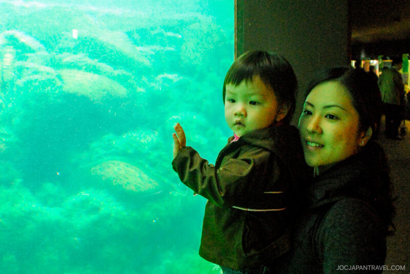 A woman holds a young child who touches the glass of a large Hakone-en aquarium, illuminated by teal light and filled with fish. The pair looks at the aquatic display, both appearing calm and interested.