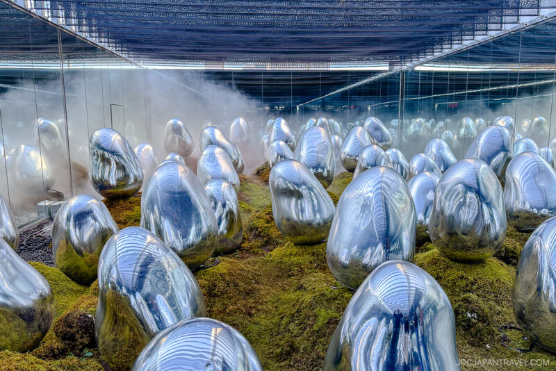 A field of shiny, silver, egg-shaped sculptures sits on mossy ground at teamLab Planets Tokyo, surrounded by mirrored walls and overhead netting. Mist rises in the background, adding a mysterious atmosphere to this surreal, immersive installation.