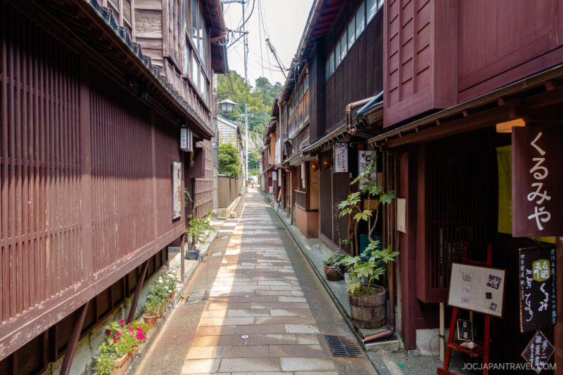 A narrow stone-paved alley lined with traditional wooden buildings and small potted plants in the historic Higashi Chaya district on a sunny day.
