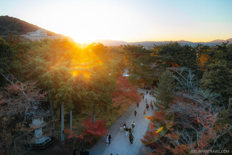 People walk along a wide path surrounded by trees with autumn foliage as the sun sets, casting a warm golden light over the scene near Nanzen-ji. A hill and a building are visible in the background.