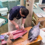Omicho Market (近江町市場) – A Taste of Kanazawa’s Culinary Culture A fishmonger fillets a large tuna on a table at Omicho Market, with the fish cut open to reveal its bones and flesh. Several people watch and take photos, and packaged fish products are seen nearby.