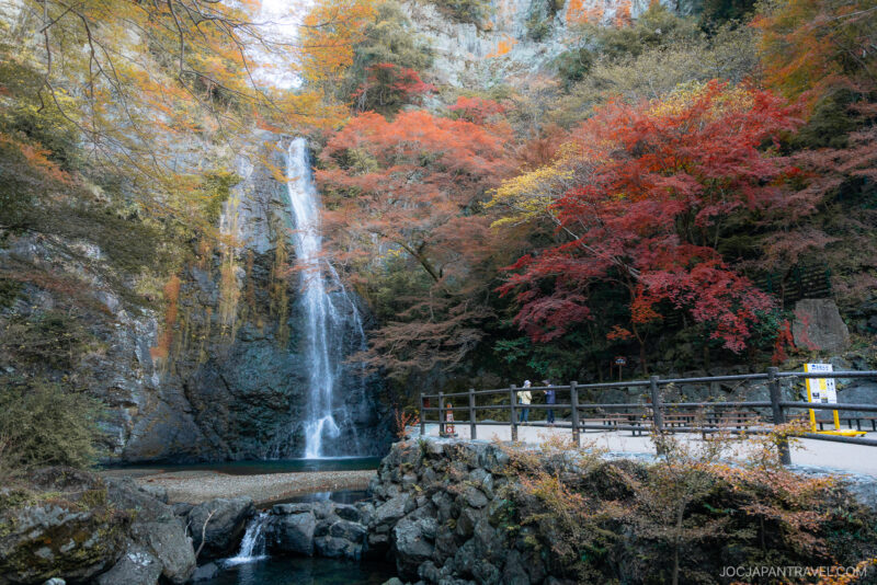 A tall waterfall cascades into a pool surrounded by vibrant Osaka autumn foliage, with red and orange leaves near a pathway lined with a wooden fence and benches in Japan.