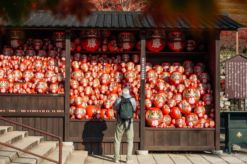 A person with a backpack stands before a shrine in Osaka, filled with red Daruma dolls—symbols of good luck—stacked on wooden shelves and surrounded by vibrant autumn foliage.