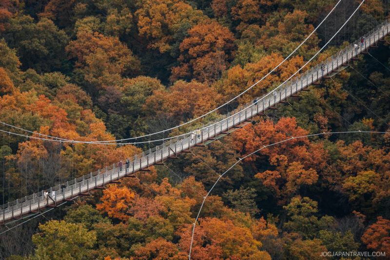 A long suspension bridge stretches diagonally above a dense forest filled with vibrant Osaka autumn foliage in shades of orange, red, and yellow. Thin cables cross in front, and a few people walk along the bridge.