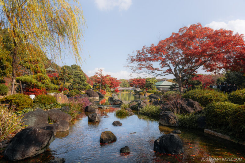 A serene Japanese garden showcases Osaka autumn foliage with a clear stream, rocks, vibrant red and yellow trees, trimmed bushes, a distant bridge, and a pavilion beneath a blue sky dotted with clouds.