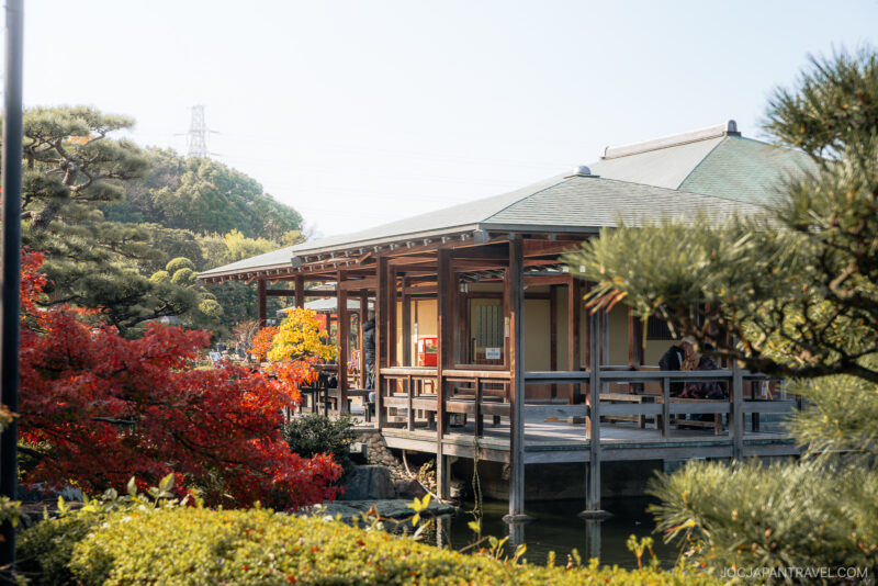 Traditional Japanese wooden building with a covered veranda, surrounded by lush greenery and vibrant red Osaka autumn foliage, set in a serene garden landscape under a clear sky.