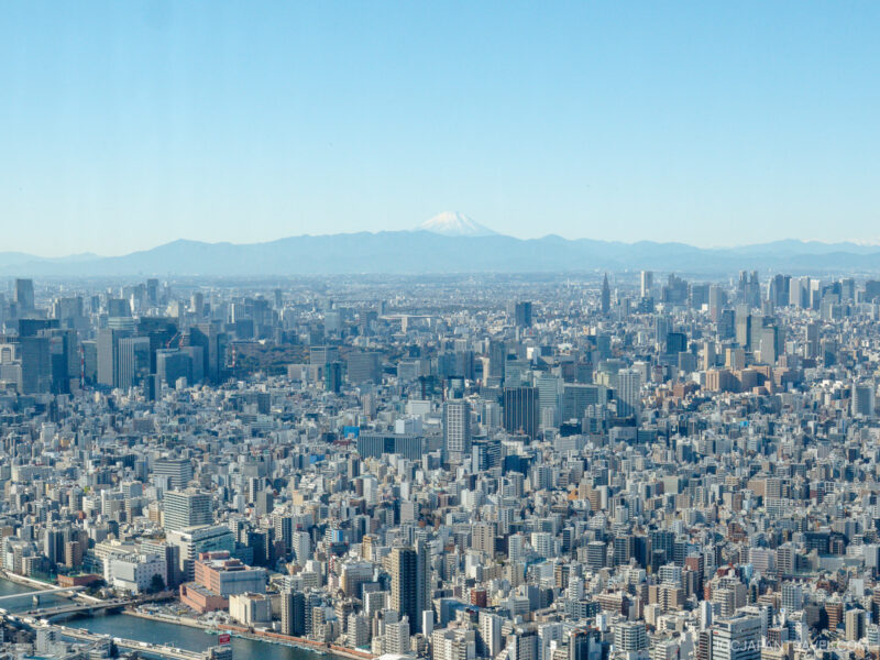A wide view of a dense urban cityscape under a clear blue sky, with Tokyo Skytree rising above the skyline and Mount Fuji visible in the distant background.