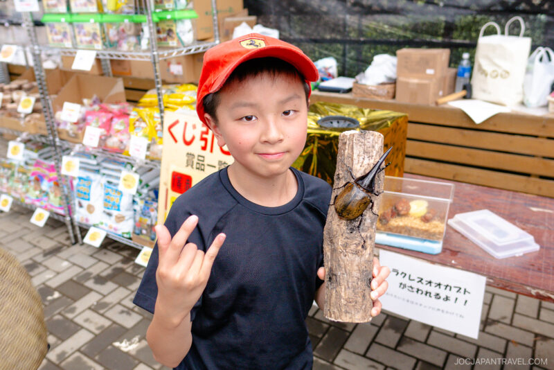 A young boy in a red cap holds a log with a large beetle on it, smiling and making a hand gesture. He stands at Hakone Gora Park’s outdoor market, surrounded by pet supplies and boxes in the background.