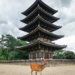 A deer stands on a gravel path at Nara Kofukuji, in front of a historic five-story wooden pagoda, surrounded by trees and people in the background under a cloudy sky.