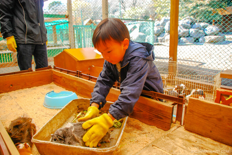 At Makaino Farm Resort Shizuoka, a young child wearing yellow gloves gently pets a small animal, possibly a rabbit, in an outdoor animal enclosure with wooden fencing and wire mesh at the petting zoo.