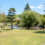 A serene Japanese garden inspired by Nara Park features a grassy lawn, various trees, a small stream, rocks, and benches under a bright blue sky with scattered clouds.