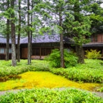 Nikko Tamozawa Imperial Villa Memorial Park (日光田母沢御用邸記念公園) A traditional Japanese courtyard garden with moss, green shrubs, and tall trees, surrounded by dark wooden buildings and a stone lantern on the left side—evoking the serene beauty of Nikko Tamozawa Imperial Villa Memorial Park.
