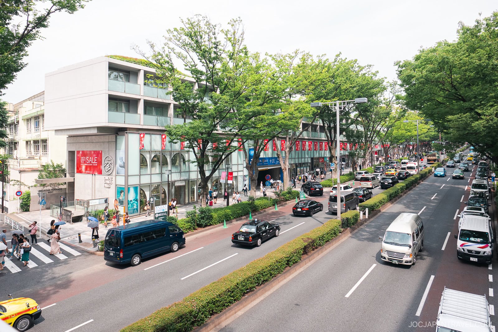 What to Do in Omotesando – Tokyo’s Chicest Neighborhood • JOC Japan Travel