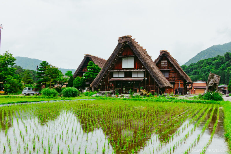 Traditional Japanese thatched-roof houses of Shirakawa-go stand behind a lush, green rice paddy with reflections in the water, surrounded by trees and mountains under a cloudy sky.