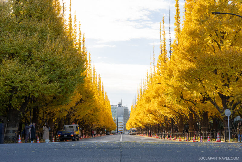 Where To See Autumn Leaves In Tokyo Parks And Gardens • JOC Japan Travel
