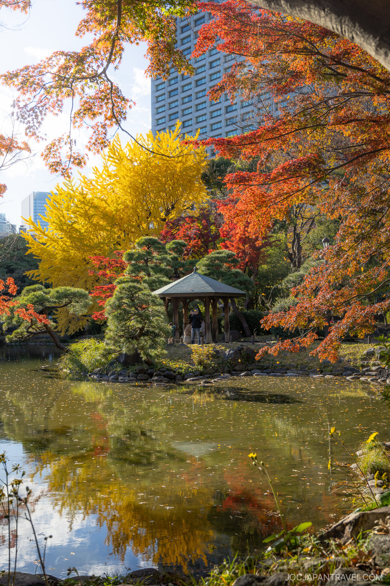 Where To See Autumn Leaves In Tokyo Parks And Gardens • JOC Japan Travel
