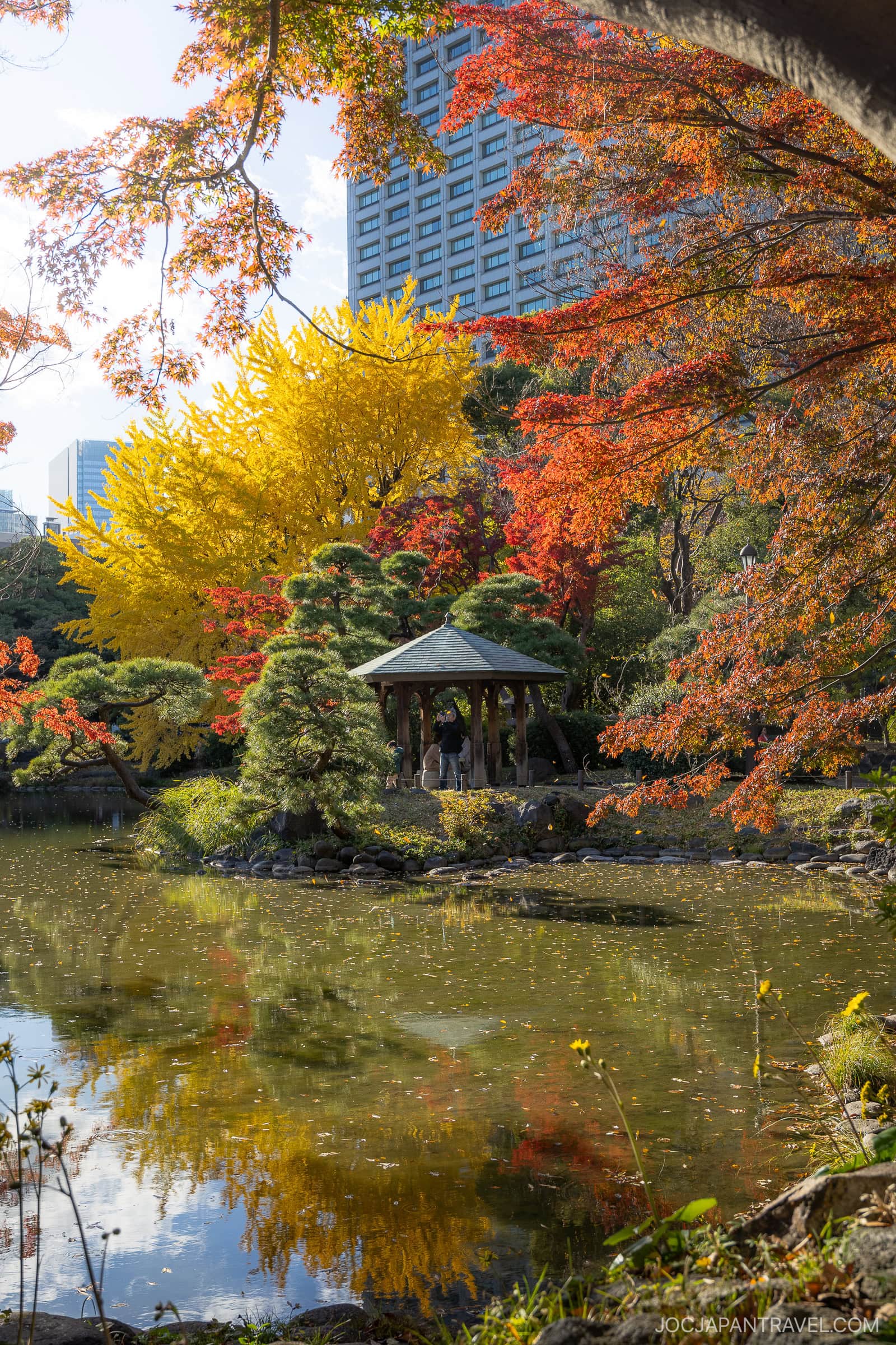 Where To See Autumn Leaves In Tokyo Parks And Gardens • JOC Japan Travel
