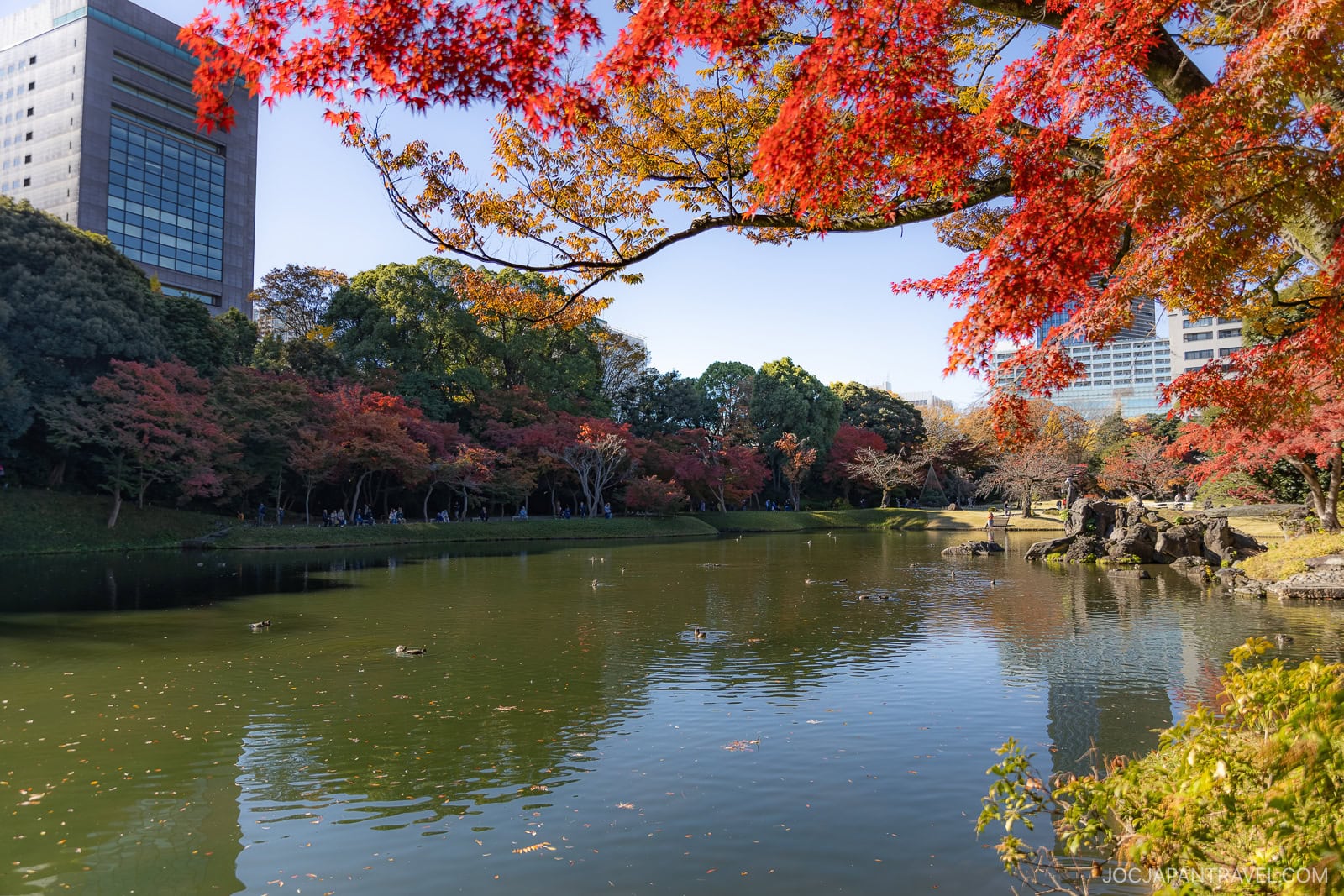 Where To See Autumn Leaves In Tokyo Parks And Gardens • JOC Japan Travel
