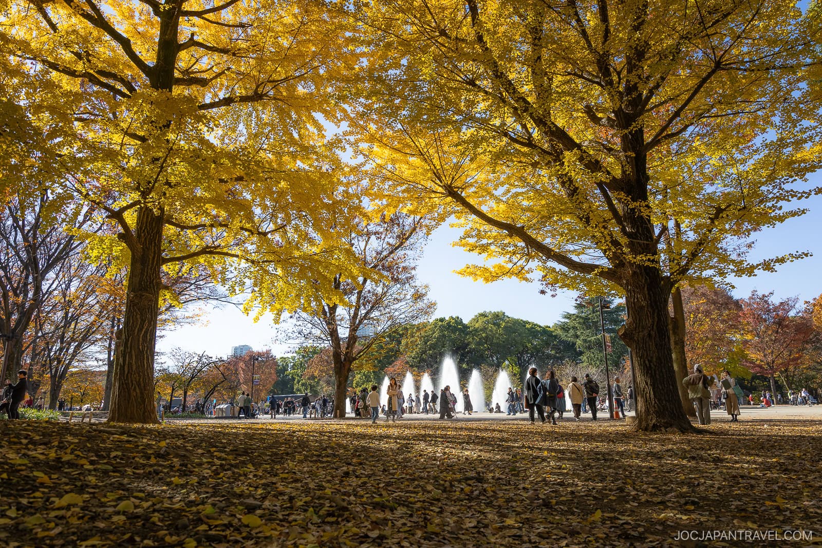 Where To See Autumn Leaves In Tokyo Parks And Gardens • JOC Japan Travel