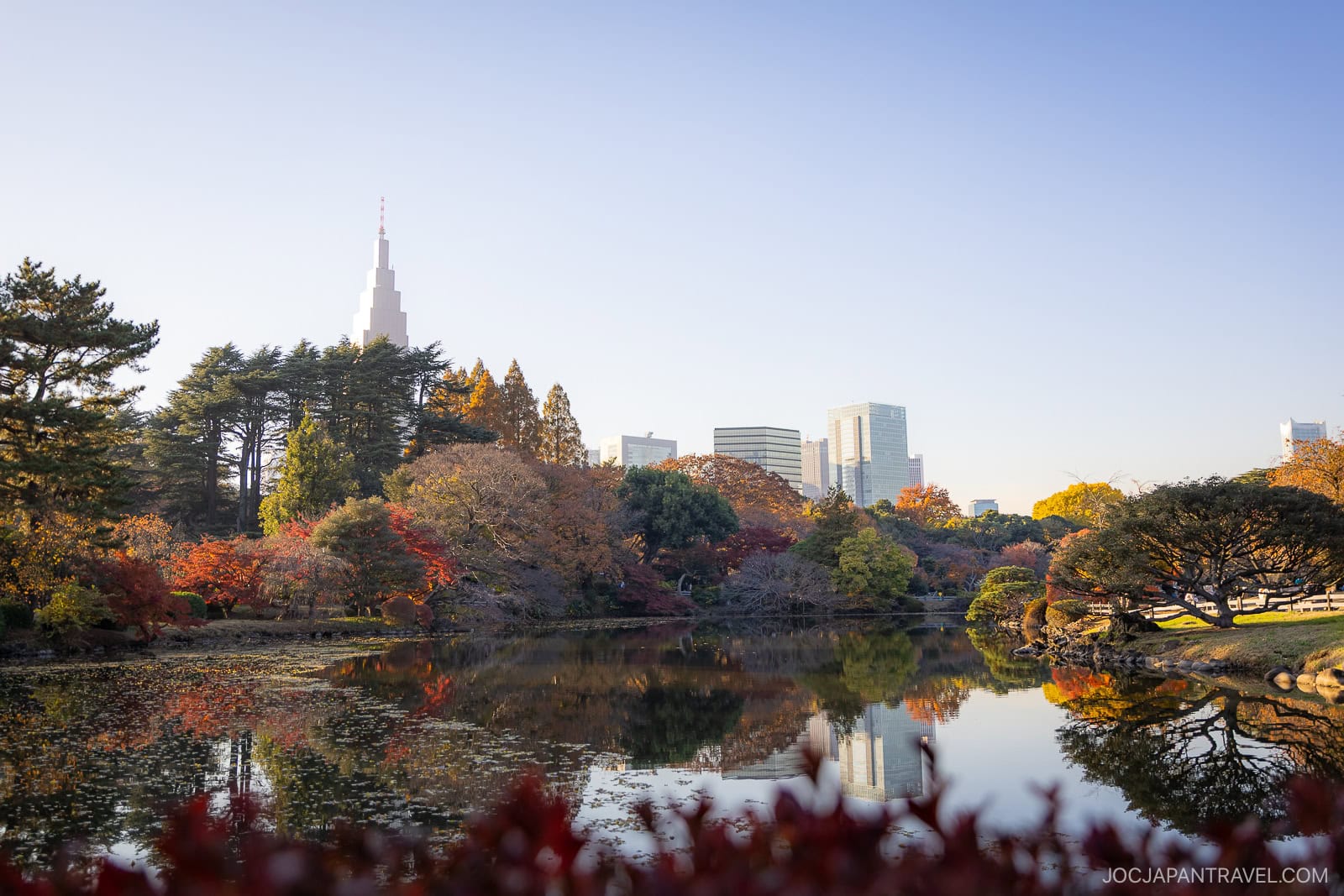 Where To See Autumn Leaves In Tokyo Parks And Gardens • JOC Japan Travel